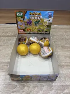 アニアのたまご　キングゴールドマウンテン 6個入り 未開封