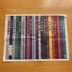 Item thumbnail for item 3e2c50e8-e7d9-4f8c-b045-d2191a9a2b6c