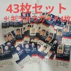 【激安】埼玉西武ライオンズプロ野球カード セット トレカ スターカード