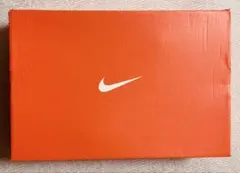 即完売品！NIKE AIR ZOOM PEGASUS 41 SE
