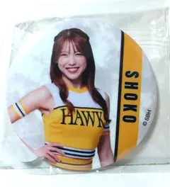 Item thumbnail for item bd9cb738-329d-41a6-a5d3-109de635736d