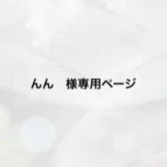 んん　様専用ページ