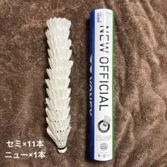 Item thumbnail for item a4d04748-80ab-42ce-b974-e04b860abdd8