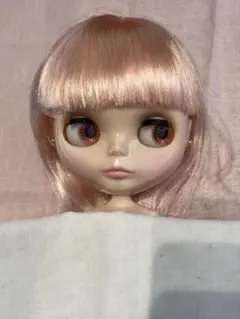 2026年最新】ステラサバンナの人気アイテム - メルカリ