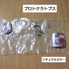 プロトケラトプス ナチュラルカラー 恐竜発掘記 恐竜全身骨格展示室