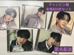 StrayKids Hollow チャンビン盤　5枚セット