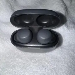 バ*グ様 SONY LinkBuds S ワイヤレスイヤホン