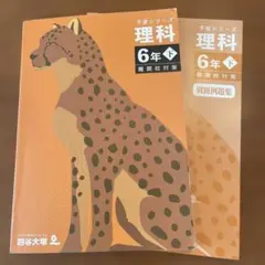 予習シリーズ 理科 6年下 難関校対策　別冊例題集付き