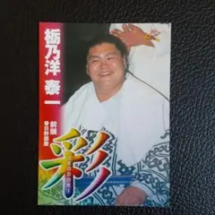 Item thumbnail for item 0517ed6c-57e3-4cba-bdd8-9f995d0a5533