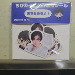 超特急 カイ 生誕 ちびカイくん大増殖シール