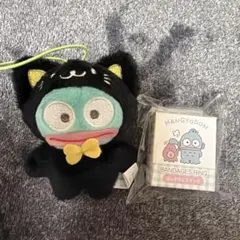 ハンギョドンセット売り