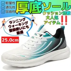 25cm40メンズスニーカーシューズランニングウォーキング靴ホワイト白軽量男FQ