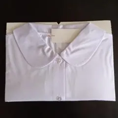 Item thumbnail for item 9092705a-80bc-4484-b320-ea6d3626a902