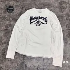 アバクロンビーフィッチ ビンテージロゴ刺繍ロンT M ホワイト