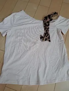 Item thumbnail for item 5e3a3af9-3924-438d-879d-9d6690f5d8d6