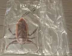 一番くじ昆虫 世界の昆虫博物館J賞アクリルスタンド　タガメ　未開封のサムネイル