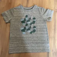 ノースフェイス　Tシャツ130グレー