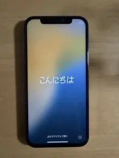 おまけ付き‼️Apple iPhone 12 Pro 256G グラファイト 本体