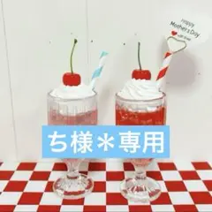 ち様＊専用