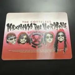 Maximum the Hormone ステッカー