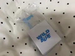 WILD BLUE ペンライト 星型 - メルカリ
