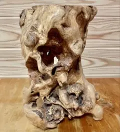 Item thumbnail for item 3e7674a8-99d7-4319-a69d-686bc098a9d3