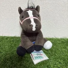 2025年最新】リスグラシューぬいぐるみの人気アイテム - メルカリ