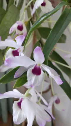 みゆさん様 リクエスト 2点 まとめ商品