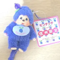 モンチッチ ご当地 タグ付 ブルーベリー 信州限定 レア S ぬいぐるみ