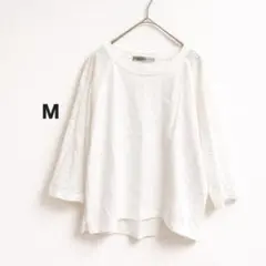 Item thumbnail for item 8480c6dc-86e4-4b4d-8edb-8a88c9325bf7