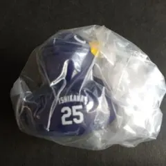 Item thumbnail for item 800f540c-df50-4f2e-abc8-3c21bcb17e5b