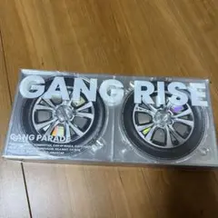 GANG RISE