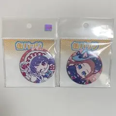 プリティーリズム オルフレ　eeo 魔法使い　上葉みあ　ヘイン　缶バッジ