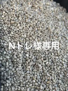 デカフェ生豆900g】メキシコ “ハニーチアパス” HG 99.8% - メルカリ