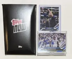 Item thumbnail for item 6a6c358e-c67b-48fd-8247-086f0a3e9d2d