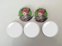 じゃぱぱ　魔法学園　缶バッジ　5点セット　からぴち　カラフルピーチ