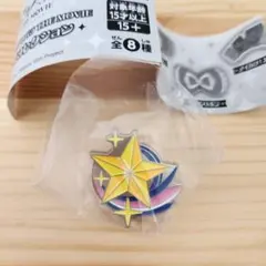 アイカツ！×プリパラ　ピンズコレクション　スターライト学園校章