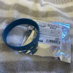 アイナナ EXPO ラバーバンド 十龍之介