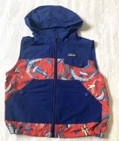patagonia フード付きベスト