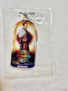 EXILE SHOKICHI THE REASON キーホルダー