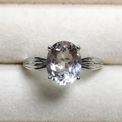 Item thumbnail for item 88b5c797-86a8-492b-baa5-702ae5fba19b