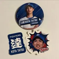 Tリーグ 缶バッジチャンスくじ2026 張本兄妹(張本智和&張本美和