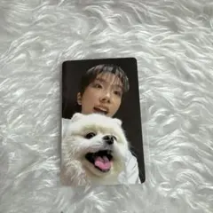 TXT ボムギュ 7th year yizhiyu 中華 パンダ トレカ - メルカリ