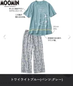 Item thumbnail for item 8d7e2c39-9104-4ded-a041-65cf47f391e7