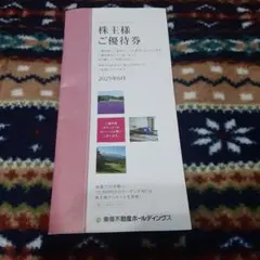東急不動産ホールディングス　株主優待券 2026.1.31