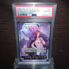 ドンキホーテ・ロシナンテ L リーダーパラレル OP12-061　PSA10