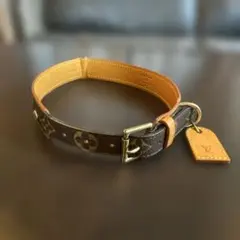 Item thumbnail for item 0dd45d99-c32f-467a-a72f-f7561fa1e160