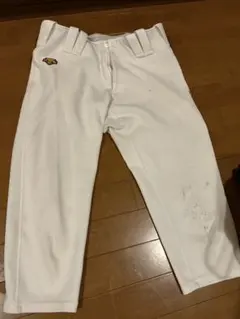 Item thumbnail for item 53909781-2dd2-42f9-845e-c7e6a79545d8