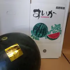 ゴールデンジャック 西瓜 スイカ 長野県産のサムネイル