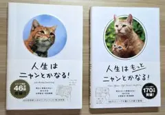 人生はニャンとかなる! &人生はもっとニャンとかなる!　2冊セット